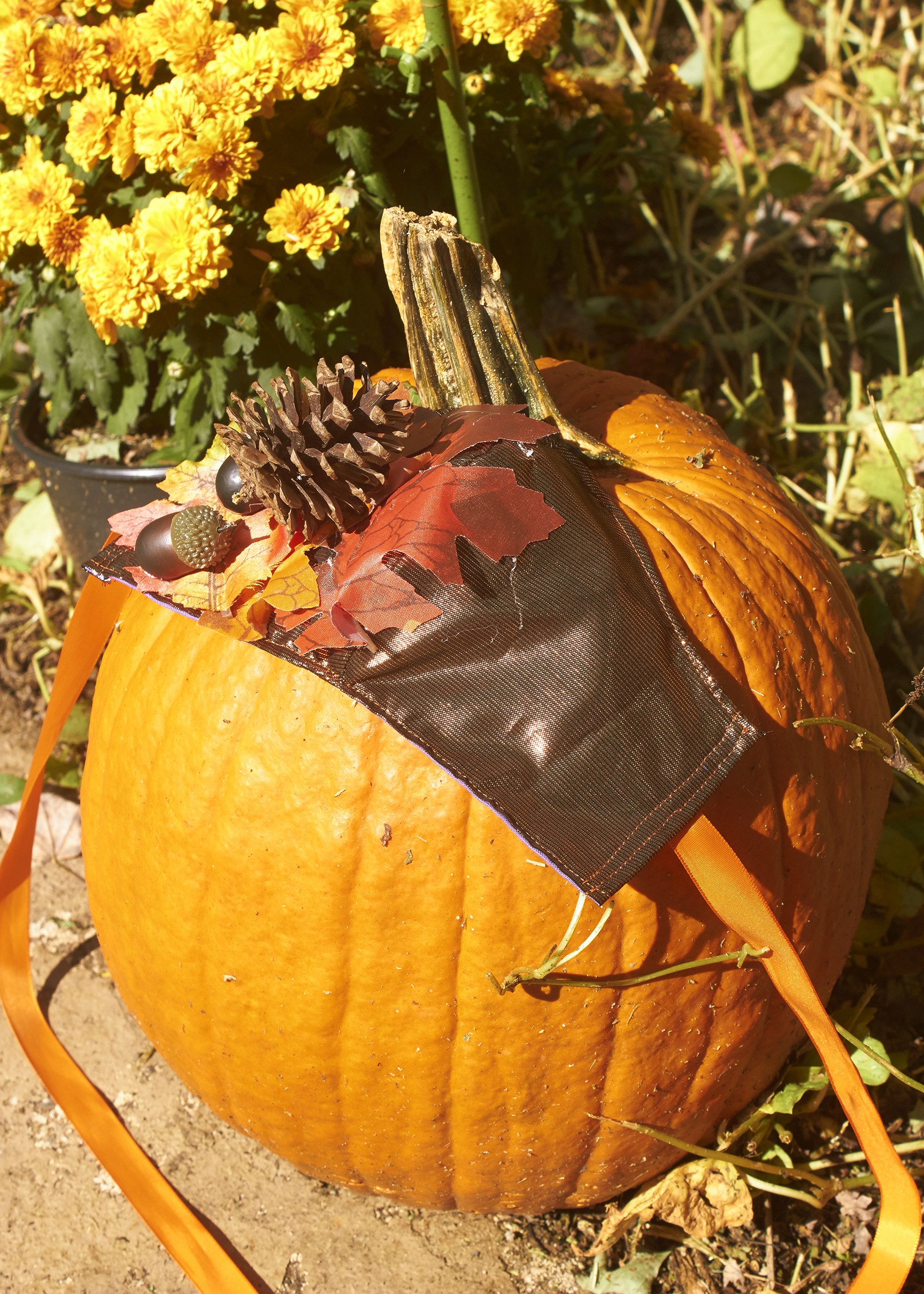 Fall time face mask laying on a pumpkin