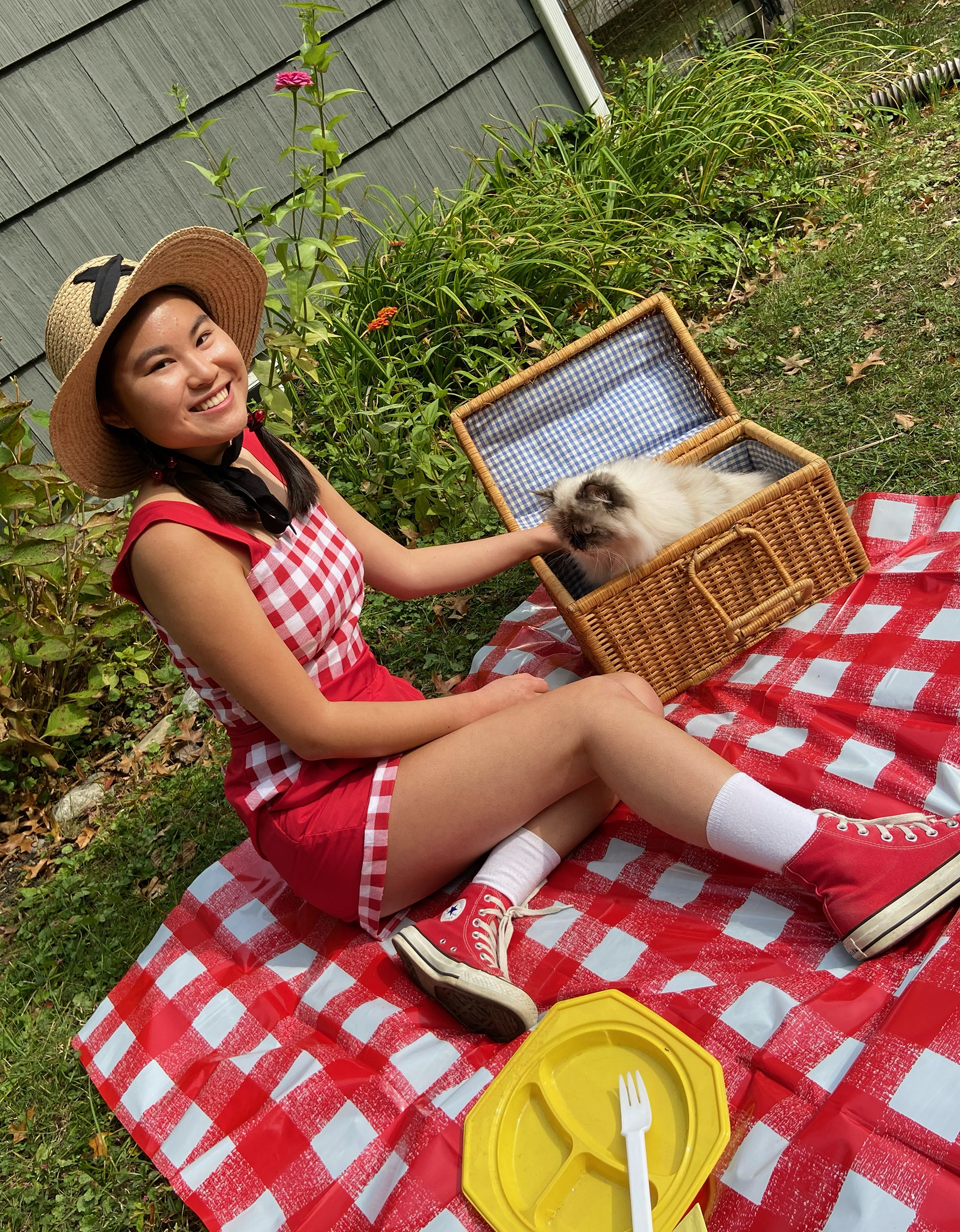 Girl in red gingham outfit on a picnic blanket with a cat in a basket